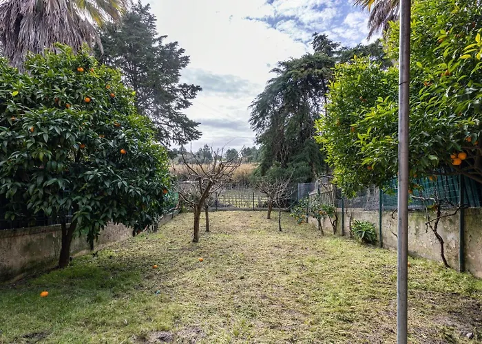 Hidden Garden Near The Castle *