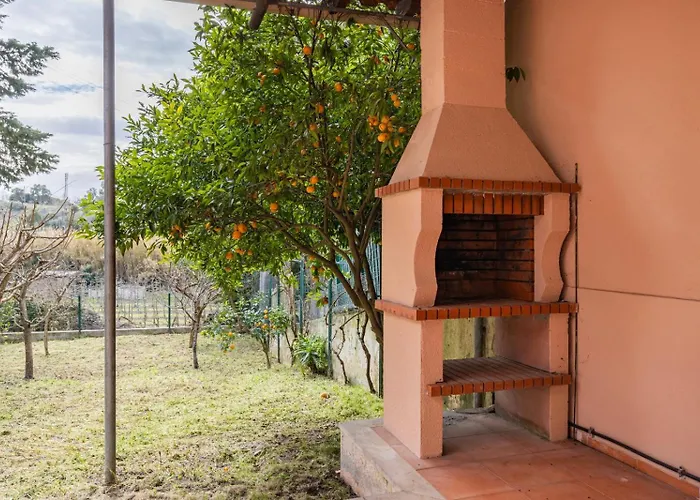 Hidden Garden Near The Castle *