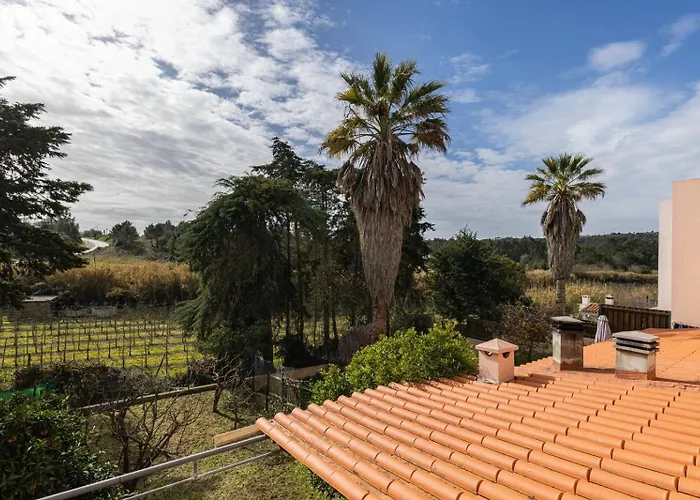 Hidden Garden Near The Castle Обидуш